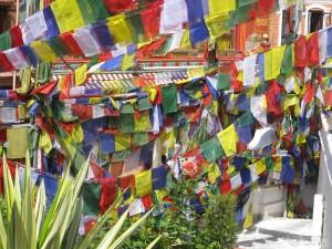 2014-10-07-Kathmandu-Nepal-IMG_2922
