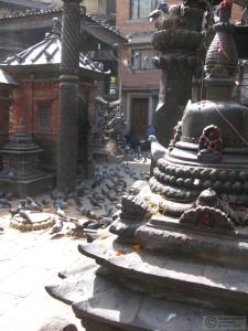 2014-10-12-Kathmandu-Nepal-IMG_3769