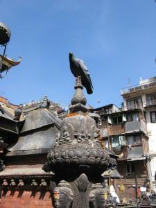 2014-10-12-Kathmandu-Nepal-IMG_3824