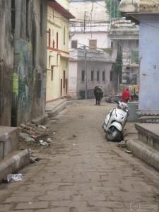 2014-12-16-Varanasi-India-IMG_6263