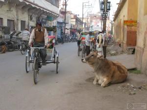 2014-12-18-Varanasi-India-IMG_6419