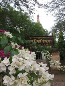 2015-01-18-Bagan-Myanmar-IMG_9541
