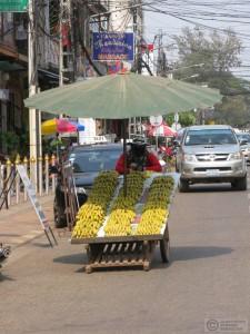 2015-02-10-Vientiane-Laos-IMG_1002