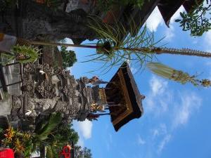 2015-07-15-Ubud-Bali-Indonesia-P7155630
