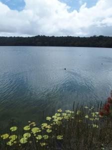 2015-10-11-Lake-Barrine-Australia-PA115369