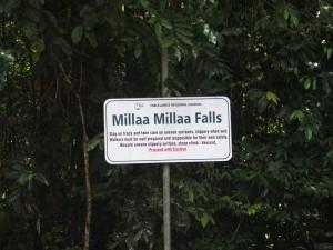 2015-10-12-Millaa-Millaa-Falls-Australia-PA125497