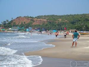 2015-11-13-Arambol-Beach-Goa-India-PB138926