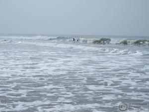 2015-11-13-Arambol-Beach-Goa-India-PB138928