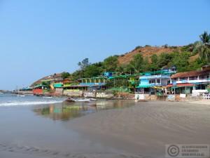 2015-11-13-Arambol-Beach-Goa-India-PB139096