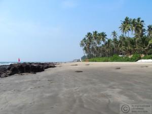 2015-11-13-Ashvem-Beach-Goa-India-PB139218