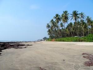2015-11-13-Ashvem-Beach-Goa-India-PB139235