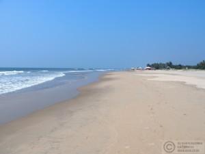 2015-11-13-Mandrem-Beach-Goa-India-PB139159