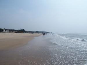 2015-11-13-Mandrem-Beach-Goa-India-PB139160