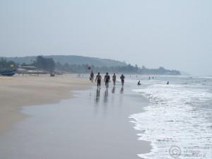 2015-11-13-Mandrem-Beach-Goa-India-PB139161