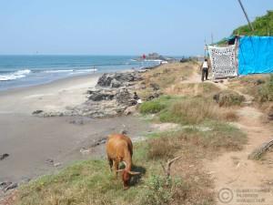 2015-11-17-Vagator-Beach-Goa-India-PB179308