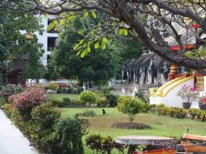 2015-12-09-Chiang-Mai-Thailand-PC091394