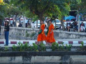 2015-12-11-Chiang-Mai-Thailand-PC111750