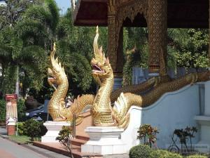 2016-01-12-Chiang-Mai-Thailand-P1124639